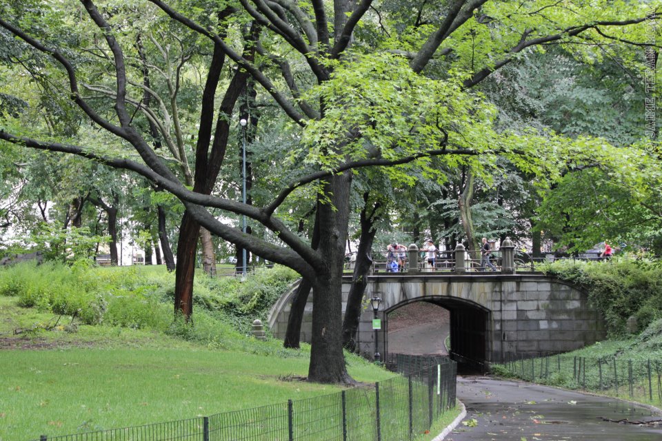 374712_2647017454519_1228143815_33173638_1193363366_n Central Park